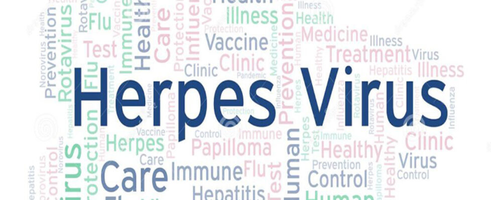 HPV Tipleri Forum